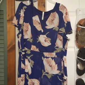 Blue with Light Pink Flowers 3xl